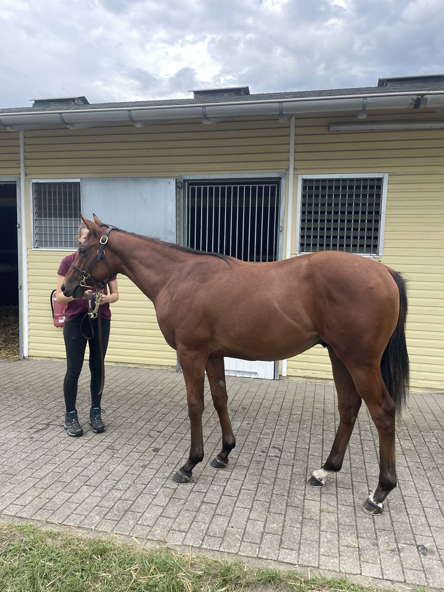 Luis Kimmel tweet media