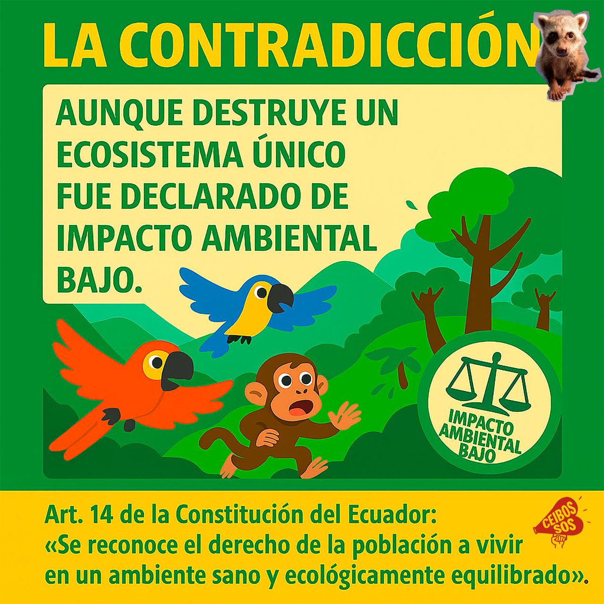 AccionLosCeibos tweet media