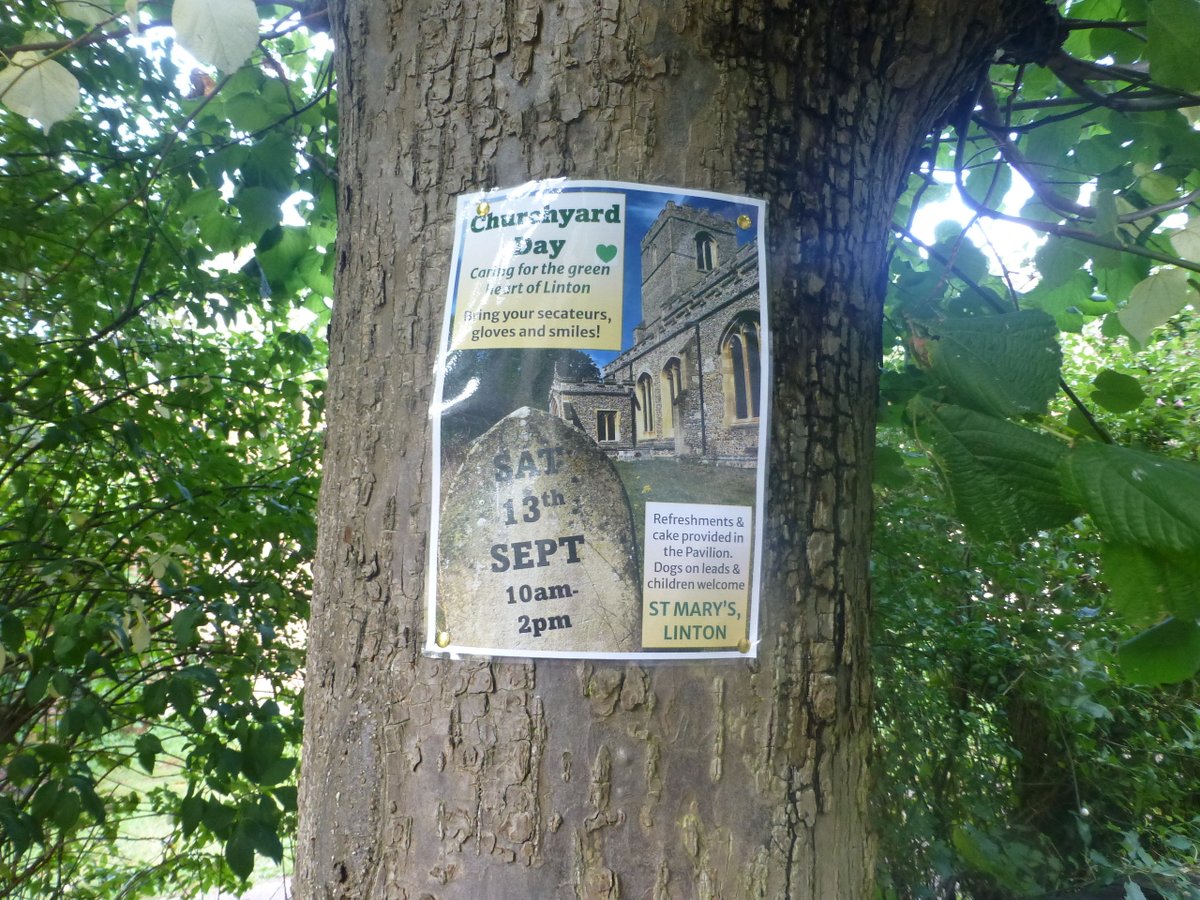 Does putting posters onto trees with pins damage the tree?