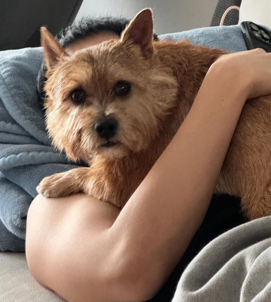 guys…..the arm……..🫠🫠🫠🫠🫠