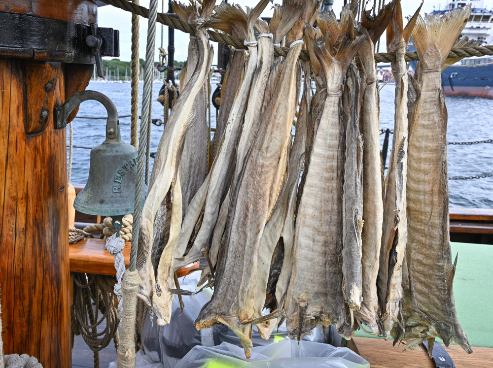 SonsofNorway's tweet image. After sailing for 2 months, the Restauration is making its way into the Caribbean! This week we dive into what the passengers ate along the way, and what life on board was like! View our Virtual Voyage here:
bit.ly/3TZCGUq