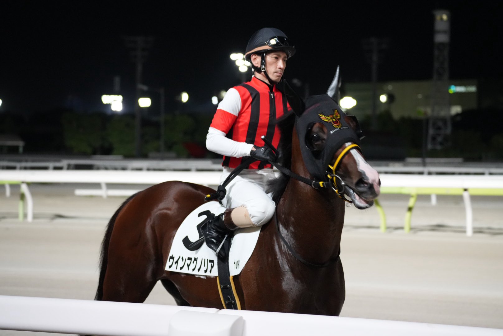 マグナムセイバープレミアム　矢野貴之騎手 マグナムセイバープレミアム 矢野貴之騎手 マグナムセイバー