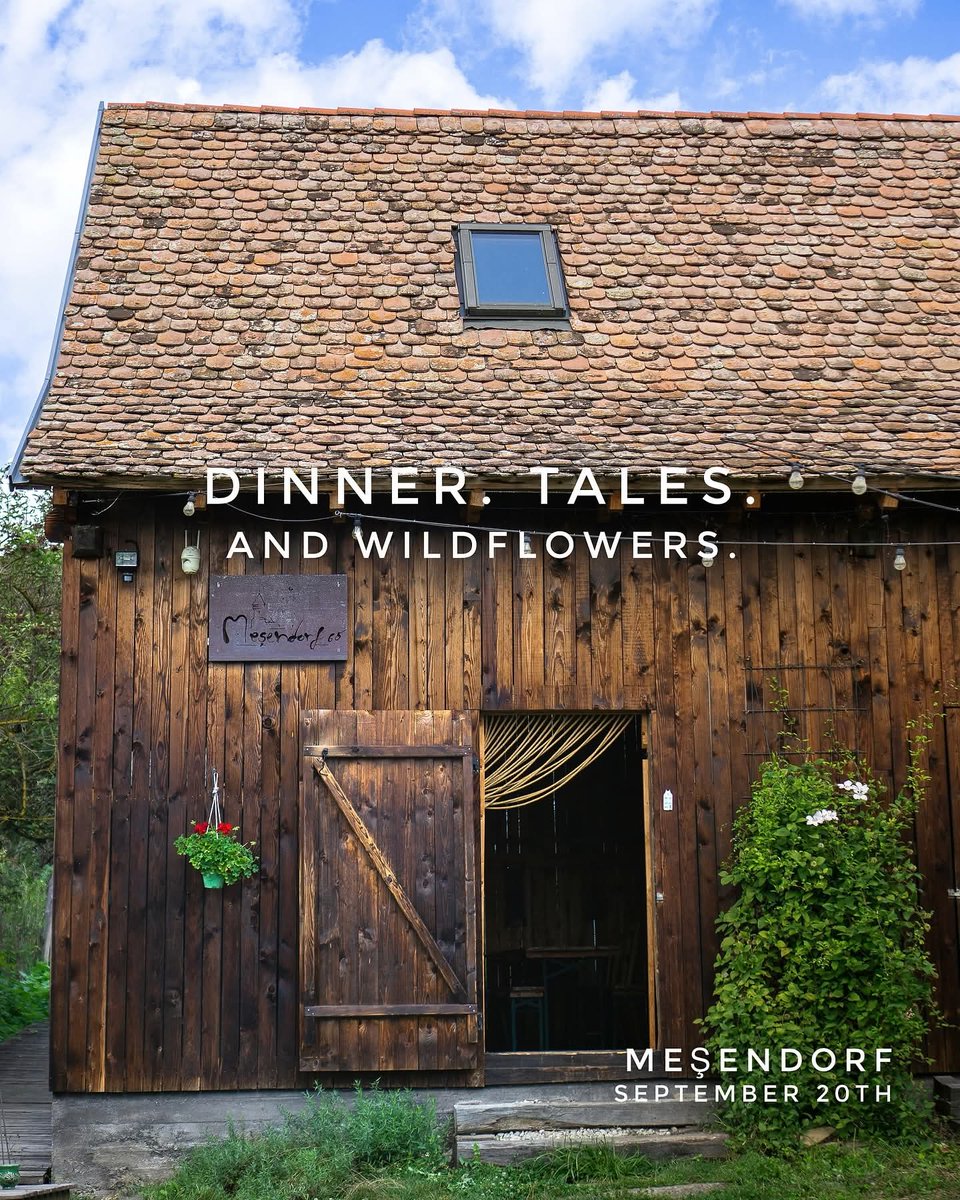 Daria Pirvu tweet media