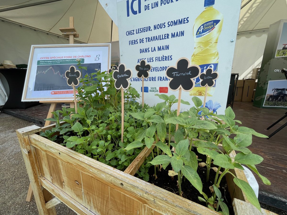 Groupe_ISSIPA's tweet image. A l&apos;occasion de l&apos;ouverture de 3 nouveaux silos dans l&apos;Aisne et la Marne nous offrons des conditions spéciales pendant la Foire de Châlons 🌾​
Rendez-vous sur le stand n°748 pour en savoir plus ! 😉
#FoiredeChâlons #negoceagricole #agriculture #collecte