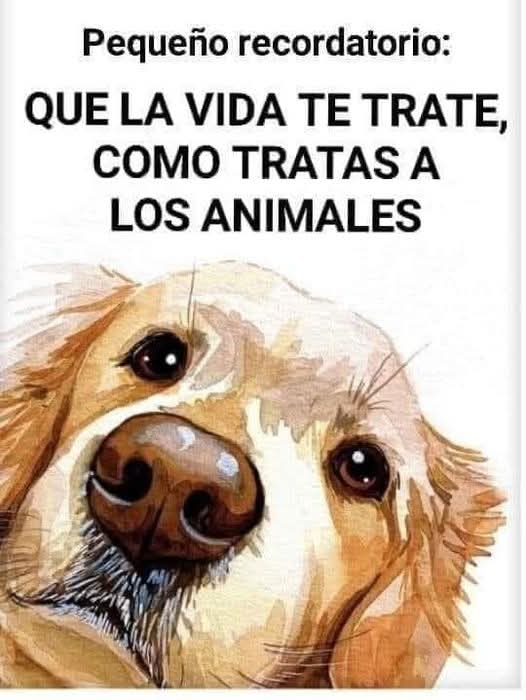 <a href="/herqles_es/">ʜᴇʀQʟᴇs</a> Lo van a pagar caro. La vida es un bumerang