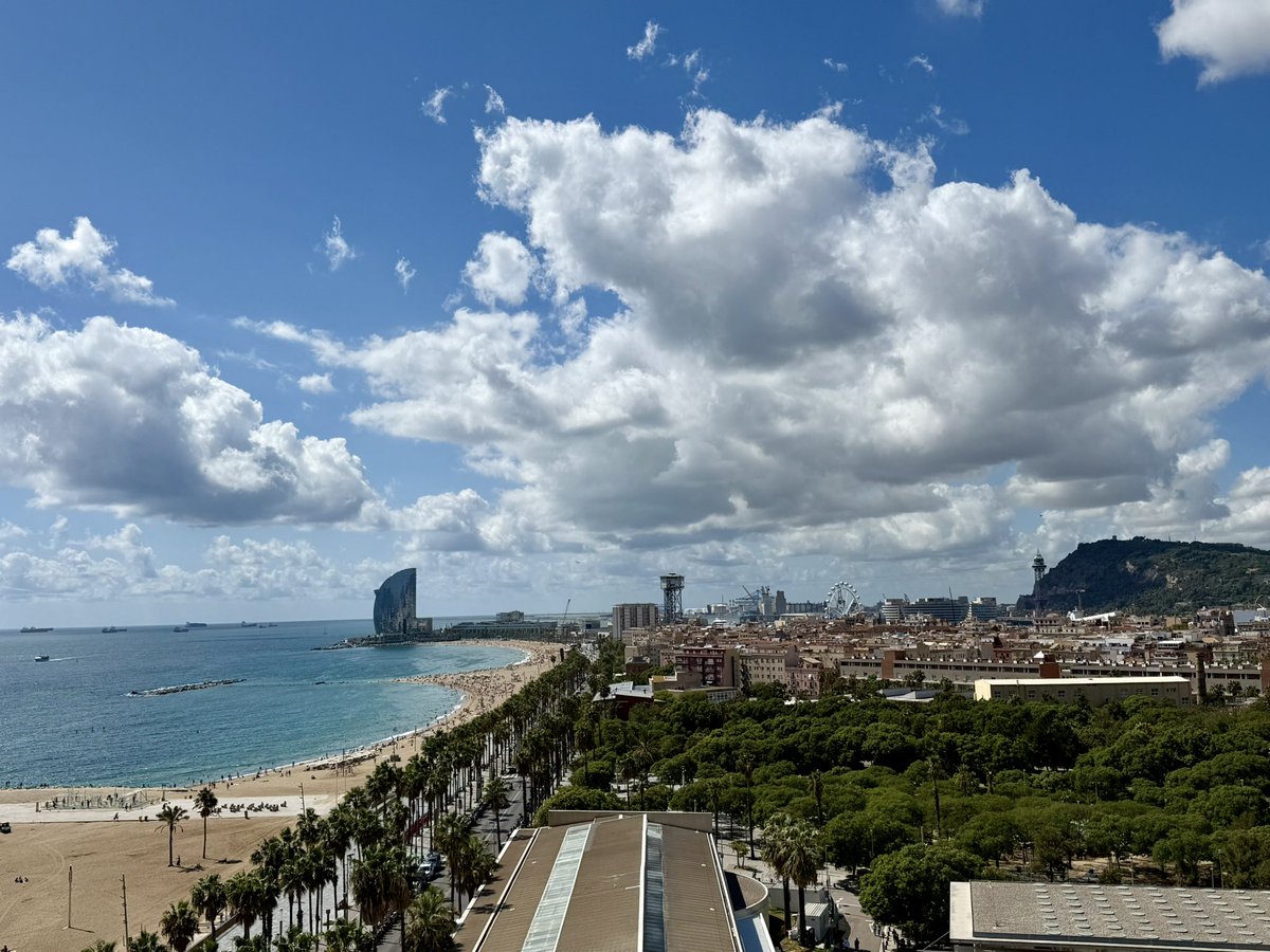Gio_Marchegiani's tweet photo. Can you discuss a PhD 🎓 thesis and do pancreas 🪡 surgery literally facing the ocean ?! 🌊 

✅ Only at @hospitaldelmar @HpbDel !!!

Thank you 😊 for having me with @CFondevila and setting such a high threshold for “best view from the OR”… 🙈 https://t.co/ek36SiGUOY