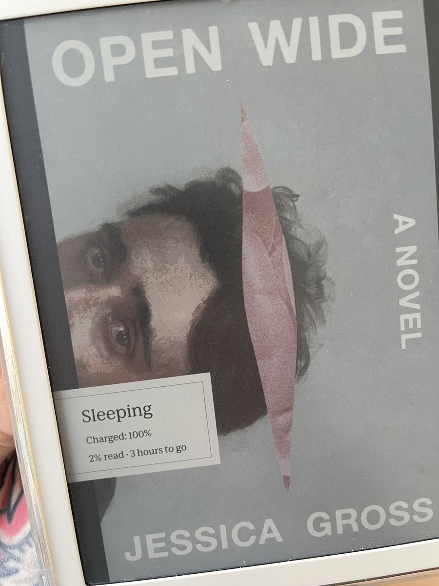 nhlauriel's tweet photo. I see the cover artist used Quinn Hughes to model the look of pure despair and anguish for their work https://t.co/oYYQZy3txI