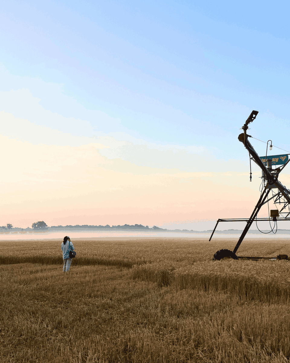 Eastern Shore Land Conservancy tweet media