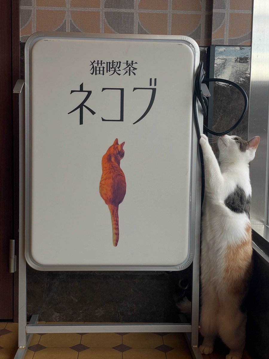 Yuji Ashik… の描いた猫BARで飲む猫(人)