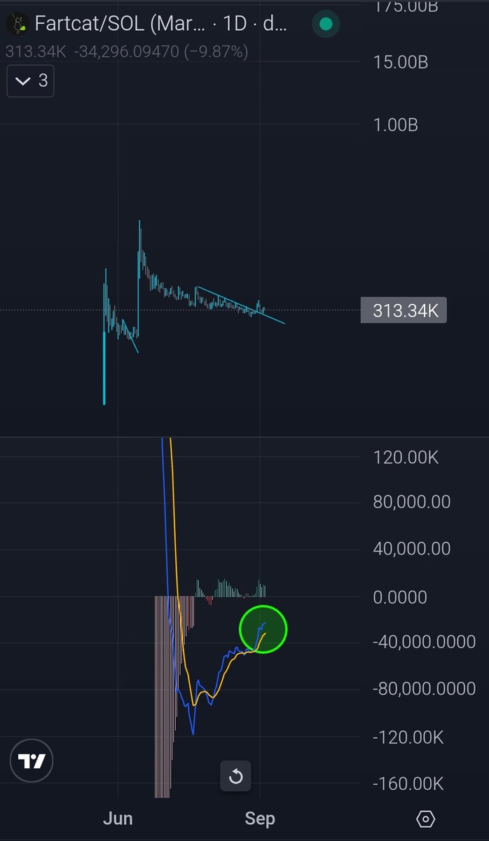 Cryptodgnz's tweet image. The sky is the limit 🔭👀
🐈💨

#FartCat

#crypto #cryptocurrency #memecoin
