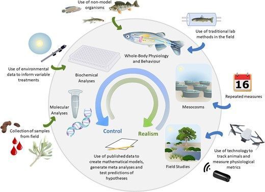 ConservationPhysiology tweet media