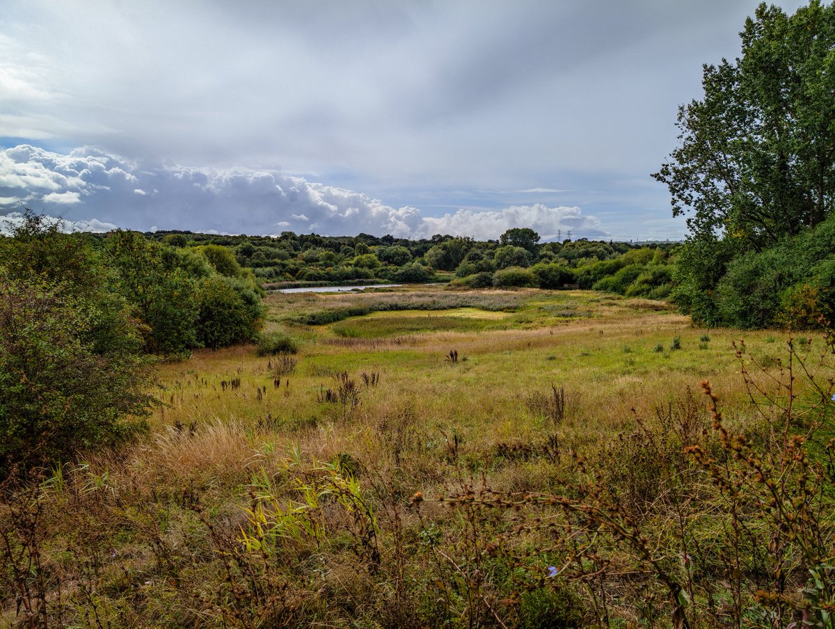 It’s been a day of drizzling rain showers and patches of sunshine at RSPB Sandwell Valley 💚