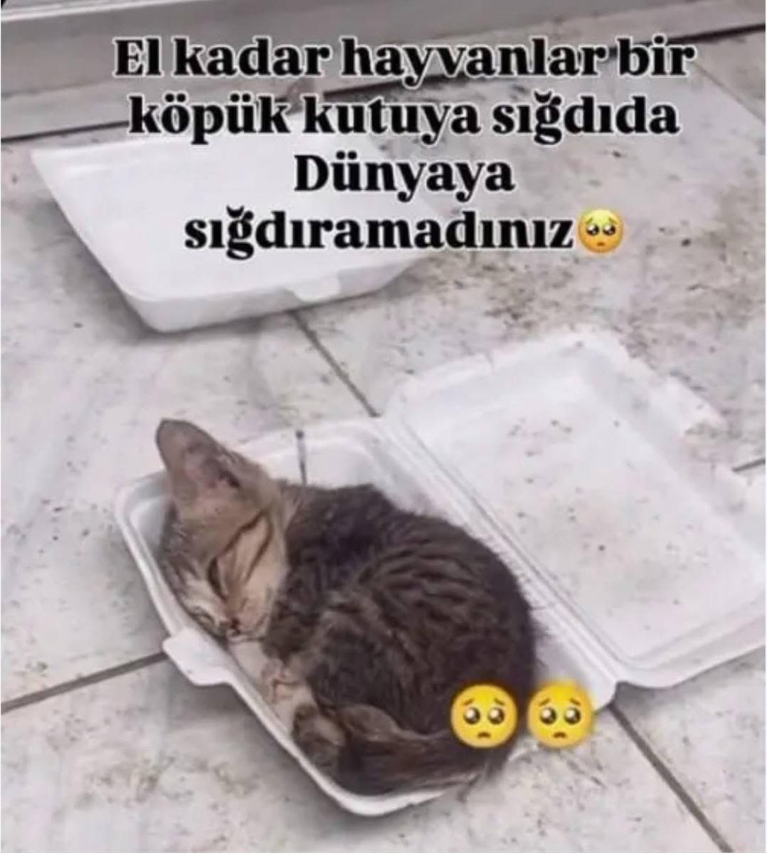 İnsanım diye ortada dolanan bazı mağluklar⁉️
 nasıl can vereceksiniz nasıl Allah’a hesap vereceksiniz hiç mi düşünmezsiniz