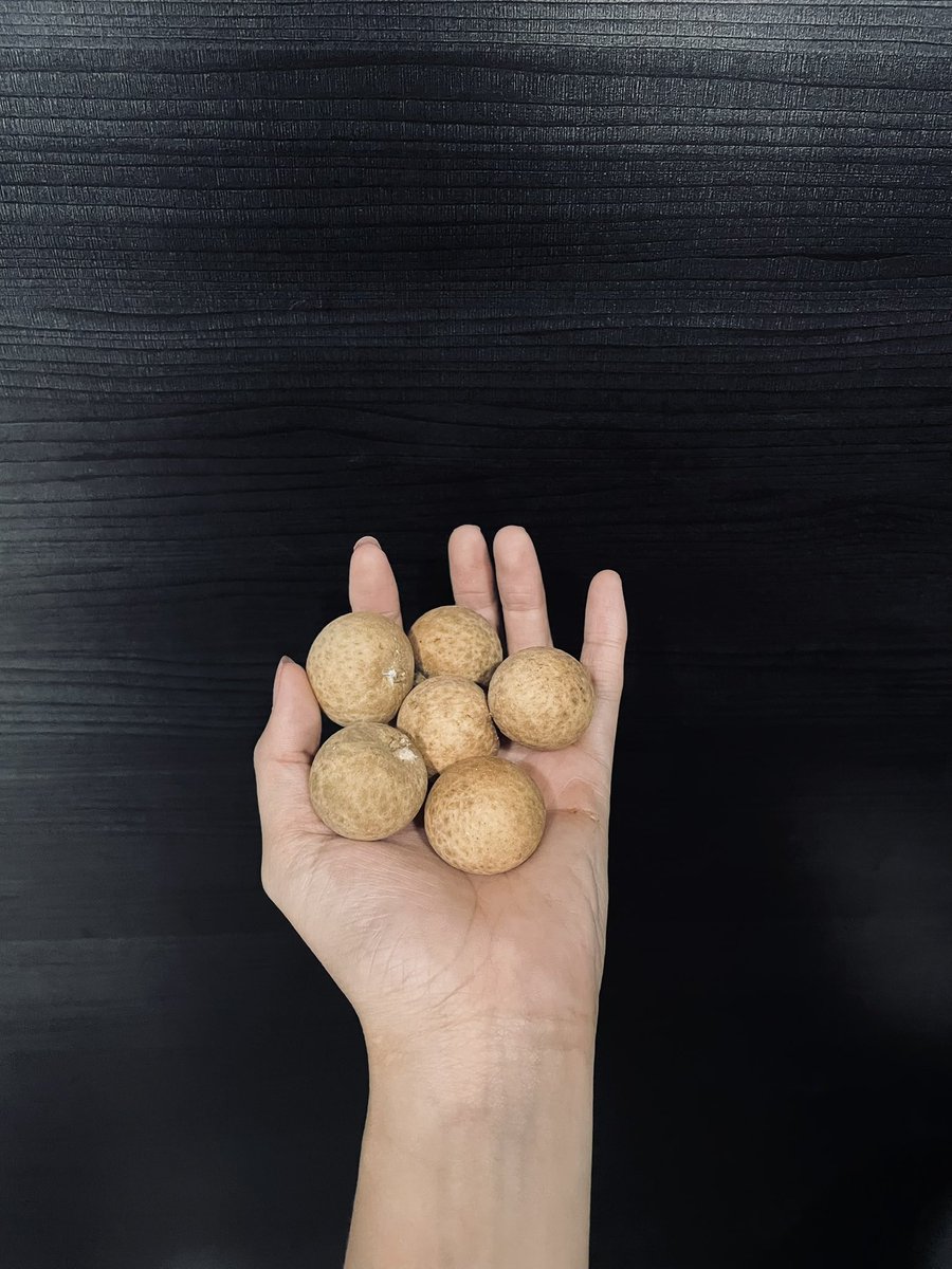 putetubbies's tweet image. hidup untuk lengkeng