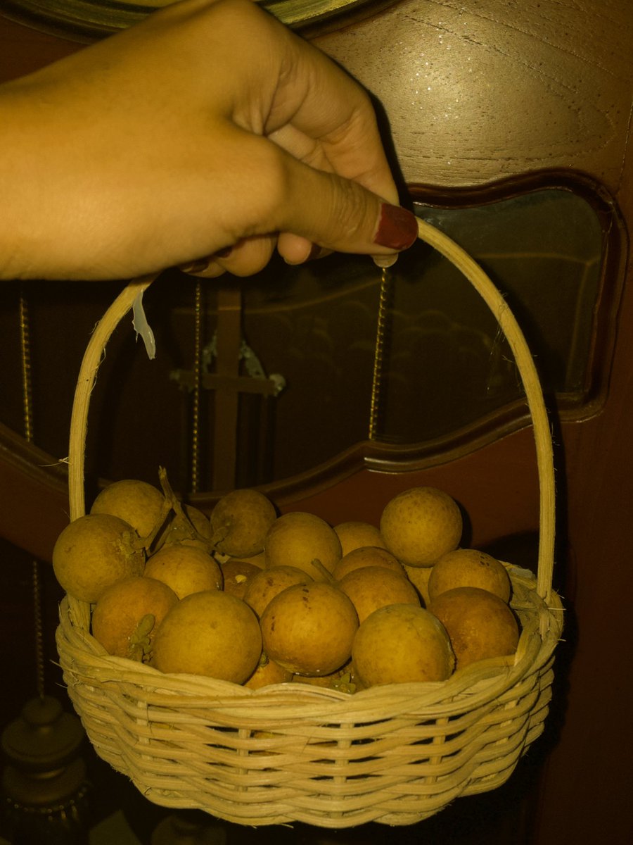 putetubbies's tweet image. hidup untuk lengkeng