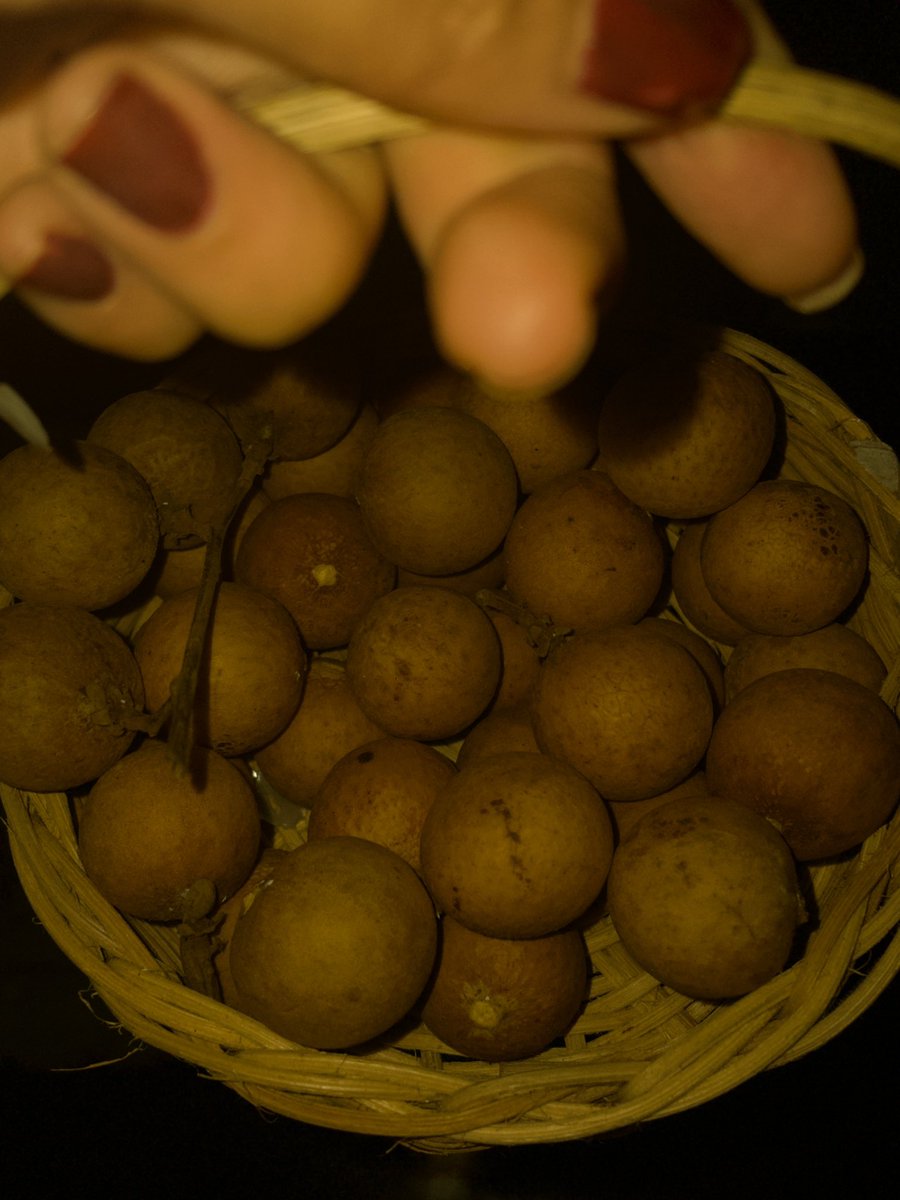 putetubbies's tweet image. hidup untuk lengkeng