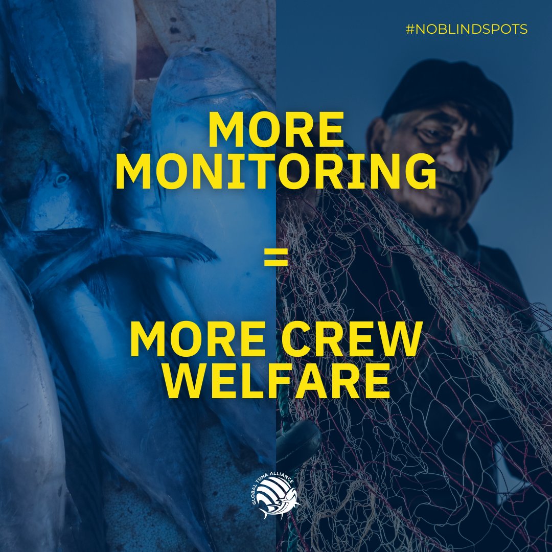 GlobalTuna (@globaltuna) on Twitter photo 🛡️ Observer coverage isn't just about fish - it's about people too.
Our Advocacy Lead Wetjens Dimmlich notes: "Improved monitoring is a key mechanism to enhance transparency, strengthen accountability" - protecting both the industry AND the fishers.
#NoBlindSpots 🛡️ Observer coverage isn't just about fish - it's about people too.
Our Advocacy Lead Wetjens Dimmlich notes: "Improved monitoring is a key mechanism to enhance transparency, strengthen accountability" - protecting both the industry AND the fishers.
#NoBlindSpots