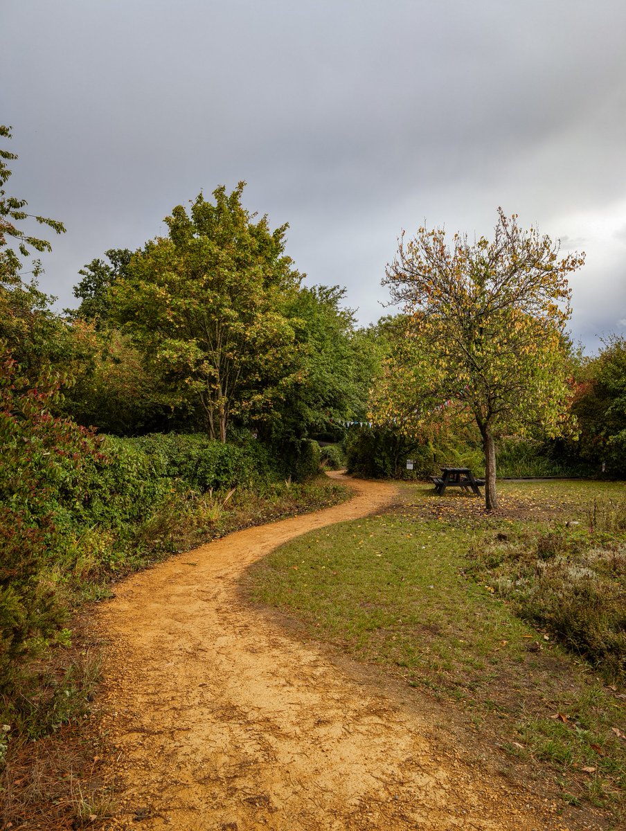 Where will your next nature adventure take you? 🍂🌧️