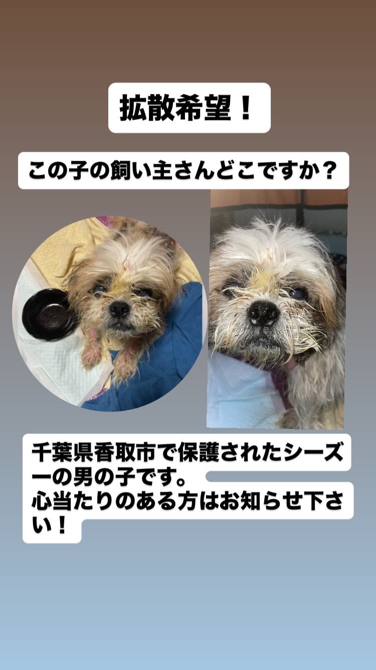 ココたんママページ Amazon.co.jp: Tonain赤ちゃん かご持ち运び新生児車用
