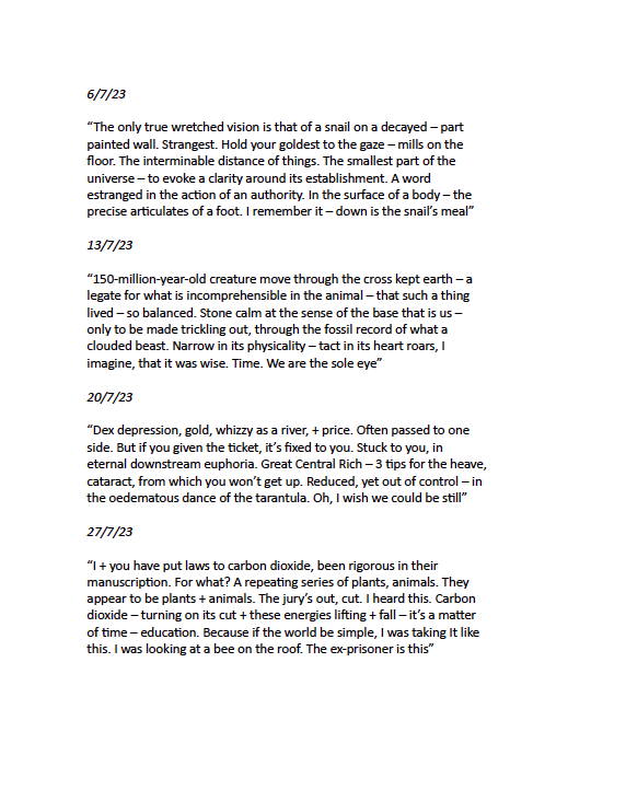 Veer Books tweet media