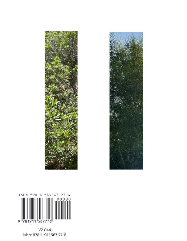 Veer Books tweet media