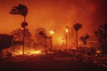 ginamilan_'s tweet photo. @GavinNewsom Gavin Newsom’s California https://t.co/aEK1ESzsR5