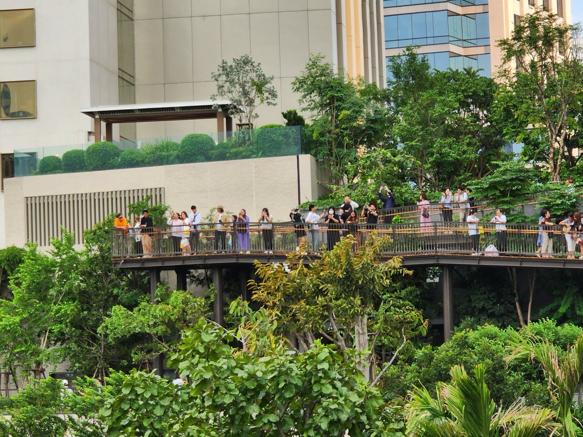 Travelista9's tweet photo. เปิดให้ประชาชนทั่วไปเข้าชมอย่างเป็นทางการวันแรก (3 กันยายน 2568) สำหรับ #สวนดุสิตอรุณ ณ #ดุสิตเซ็นทรัลพาร์ค สวนลอยฟ้าใจกลางเมืองที่ใหญ่ที่สุดในประเทศ���ทย
สวนดุสิตอรุณฯ มอบพื้นที่สีเขียวขนาดใหญ่ ถึง 7 ไร่ (11,200 ตารางเมตร) โดยได้วางดีไซน์และสิ่งอำนวยความสะดวกต่างๆ ไว้มากมาย https://t.co/WVg7EQSCGK