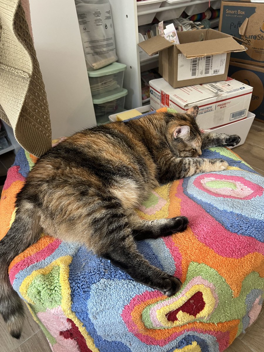 sorrey can,not talke , ime busy eepin