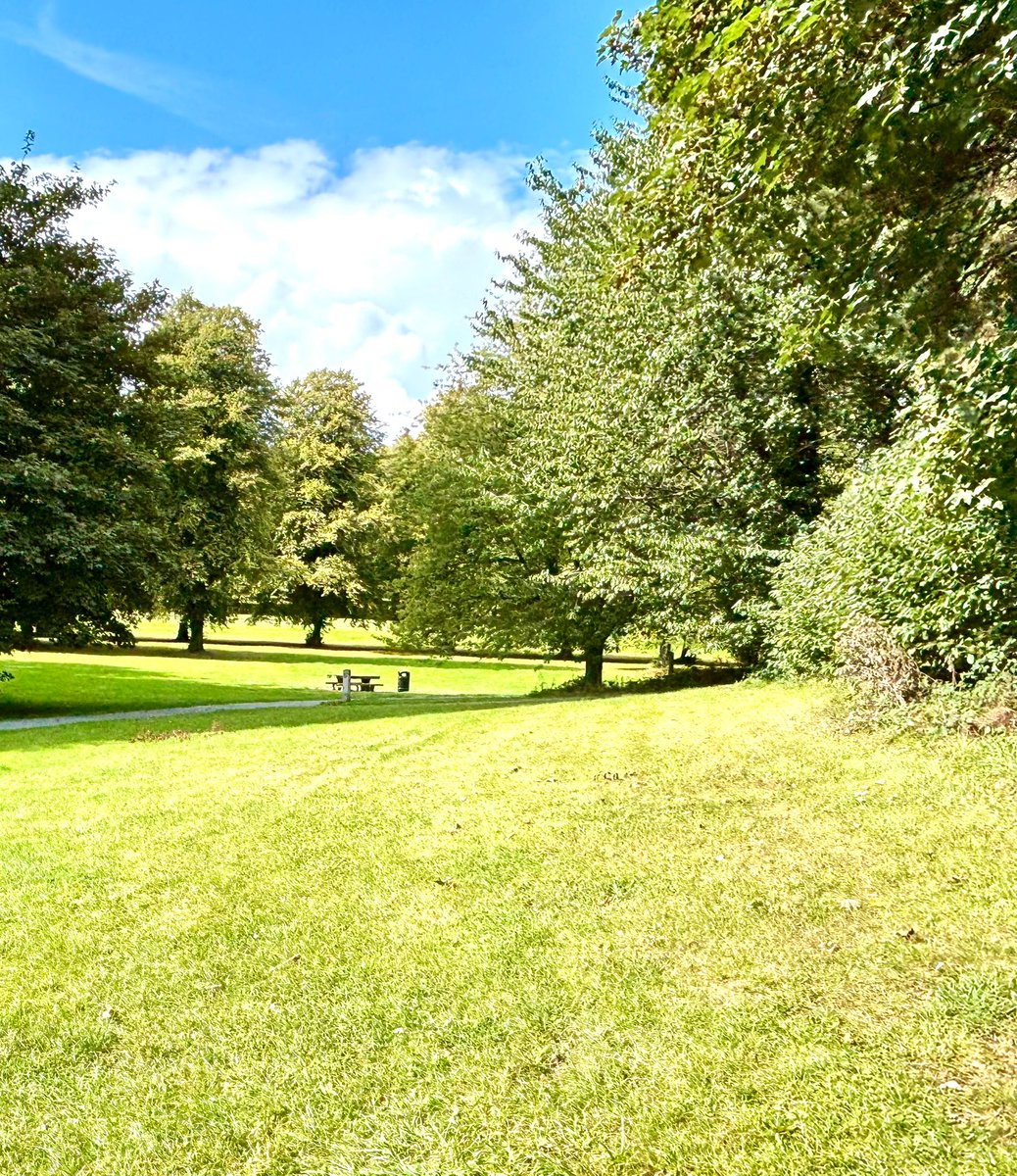 apallan's tweet photo. Flora and fauna at the Stormont estate. #autumnleaves #horsestails #clusterfly https://t.co/V3KF8tyiNy