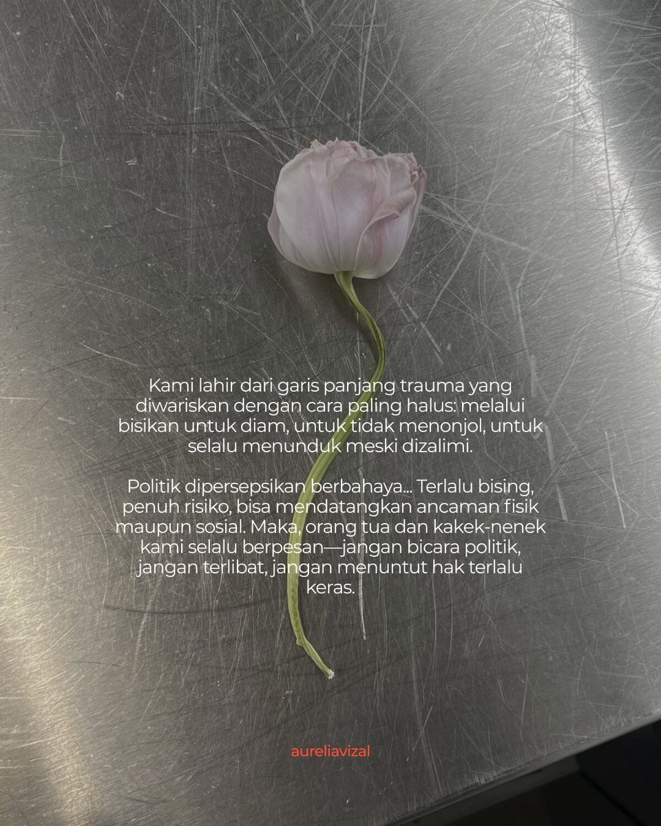 Aurelia V tweet media