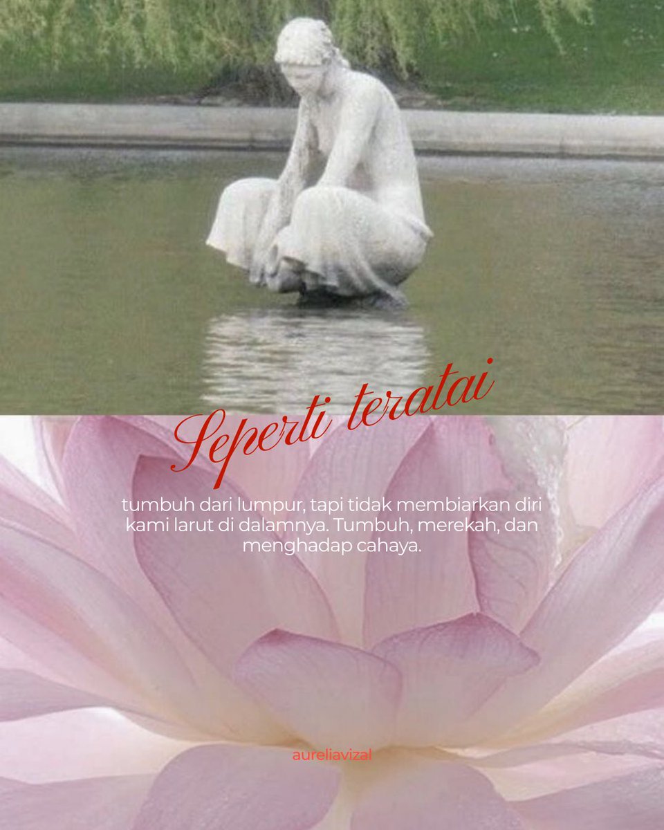 Seperti teratai 🪷