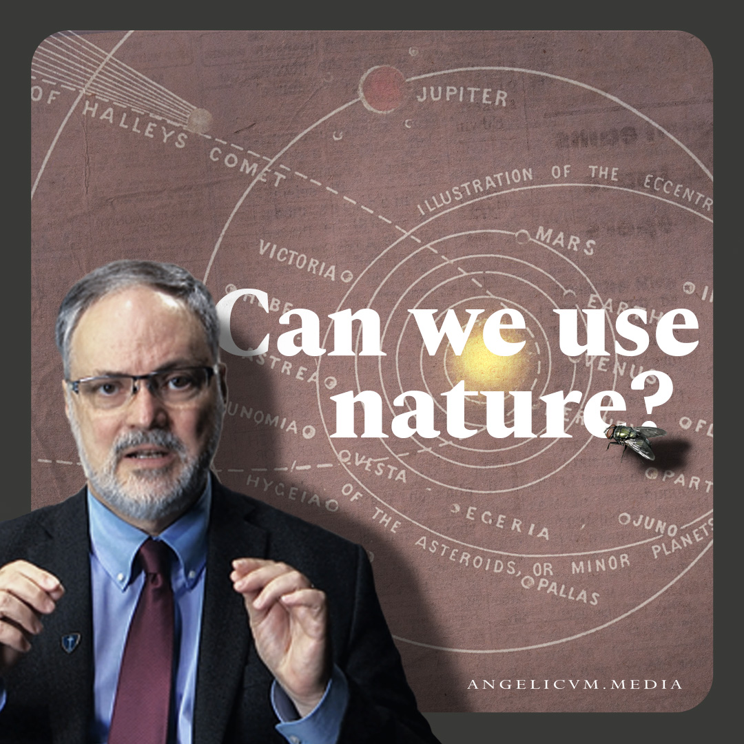 AngelicumMedia's tweet image. Ecological questions may be new — but their answers are rooted in the oldest truths of faith. ✝️
🌌 The universe is not a cold void, but creation willed into being by a loving God
Discover how theology shapes ecology:
📺 youtu.be/iUm4tm5Yjgo
#CST #aquinas #ecology #creation