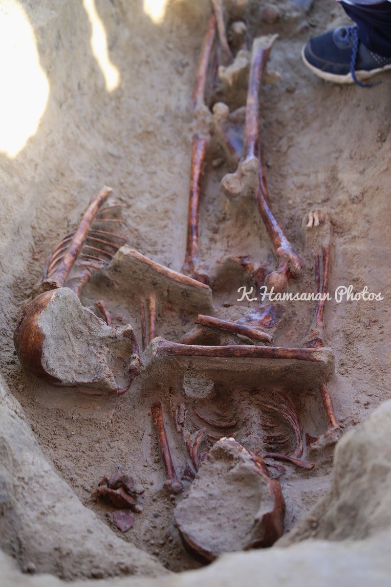 செம்மணி சித்துப்பாத்தியில் பொரிய எலும்புக்கூட்டுடன் ஓட்டியவாறான சிறிய எலும்புக்கூடும் அடையாளப்படுத்தப்பட்டுள்ளன. அந்த இரண்டு எலும்புக்கூட்டடினுடைய மண்டையோடு உடைந்த நிலையில் காணப்படுகின்றது.
#செம்மணி #செம்மணிபுதைகுழி #chemmani  #chemmanimassgrave #semmani