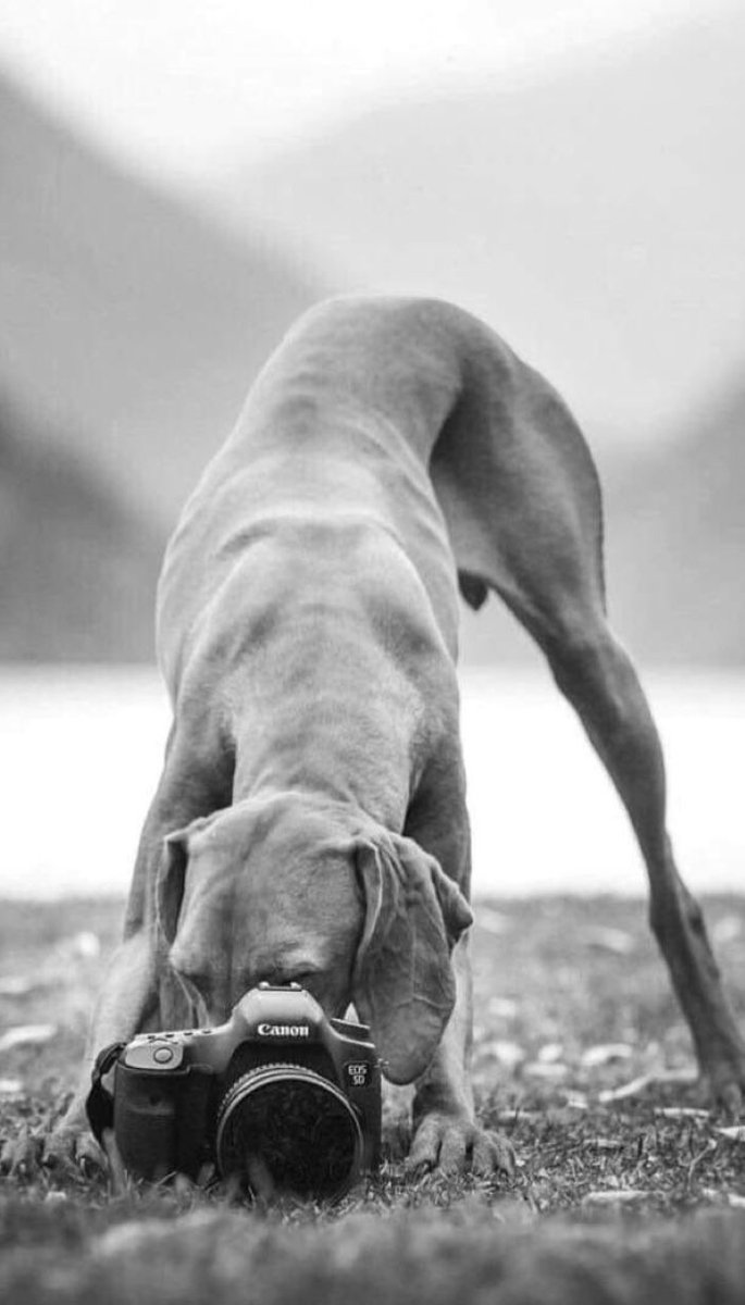 Yin07Yang (@yin07yang) on Twitter photo 