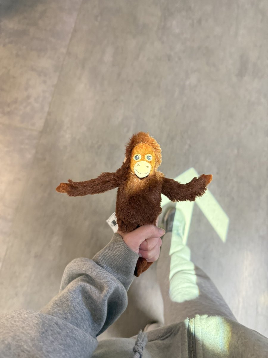 MEET STEVE