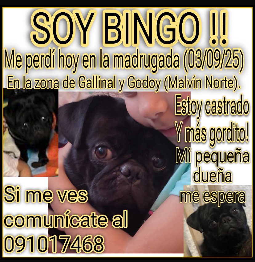 Adriana (@adriana43587622) on Twitter photo 