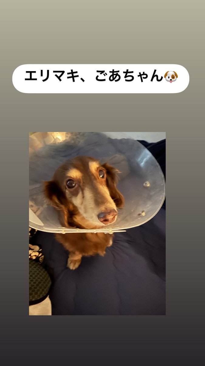 らんこ (@69Hide0518) / Posts / X