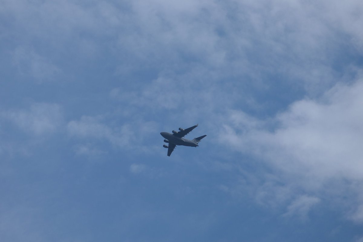 Irene de Bree tweet media