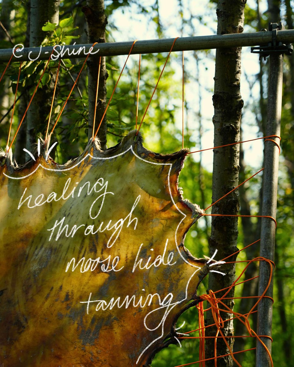 Indigenous Climate Action tweet media