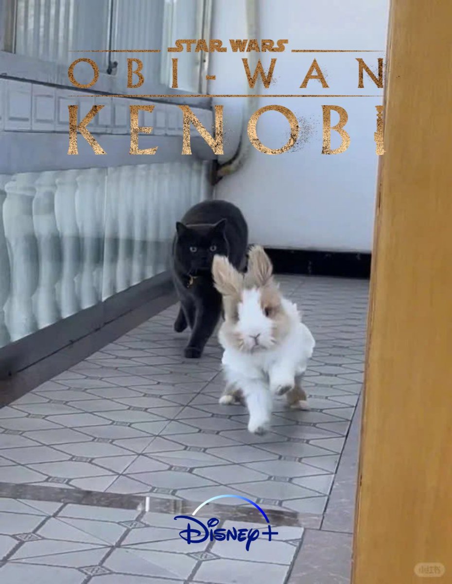 갤러리에서 발견함