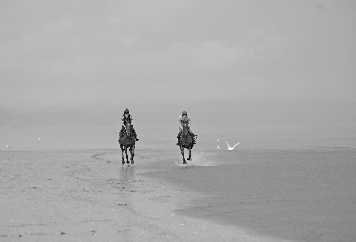 The scene at <a href="/Laytown_Races/">Laytown Races 2025</a> today 🌊

📸 <a href="/patcashhealy/">Pat Healy</a>