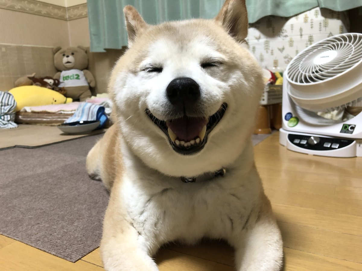 #何回でもポストしたくなるお気入りの一枚を見せて