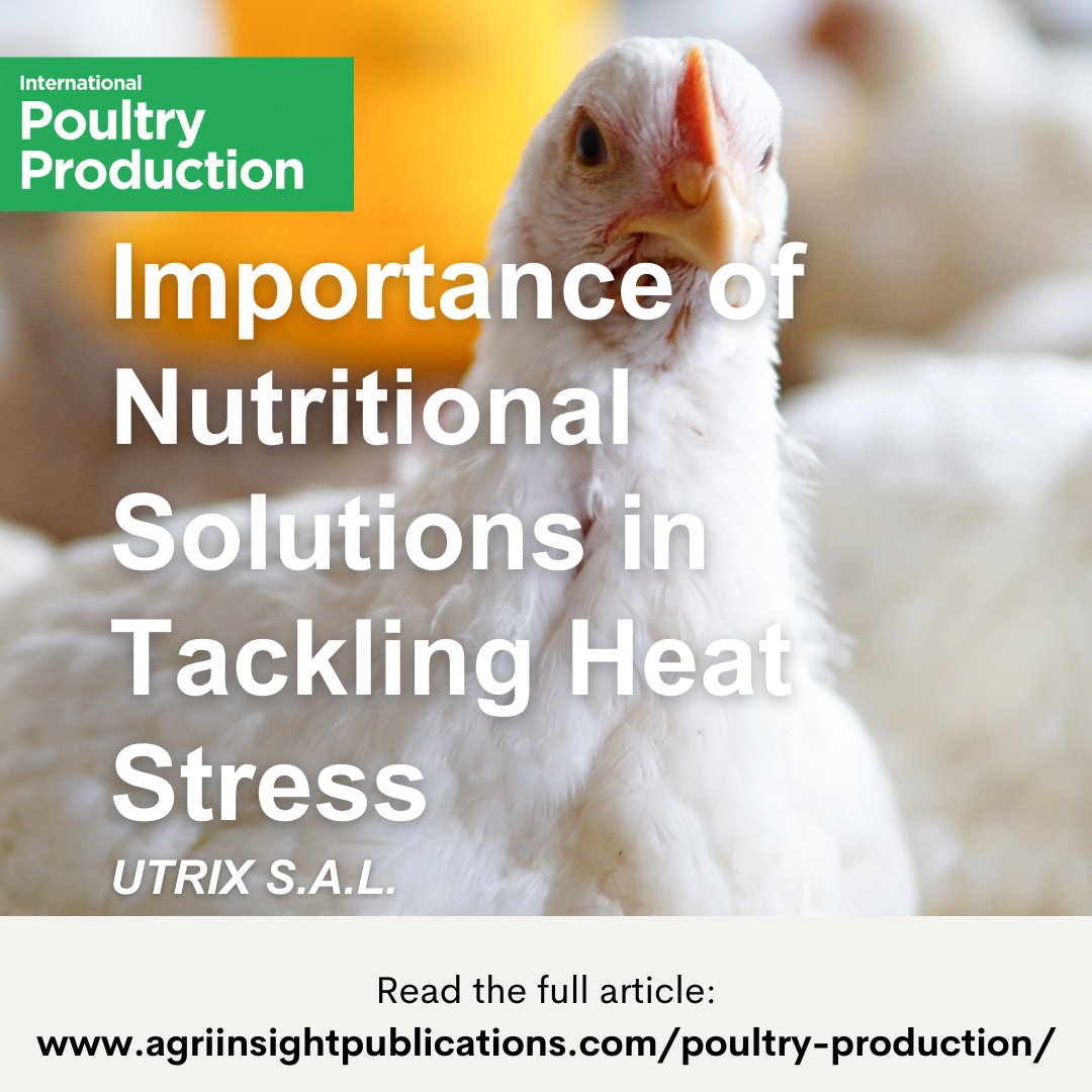 Heat stress is a major challenge in poultry production, reducing feed intake, growth, and immunity.

An article in International Poultry Production by UTRIX highlights how nutritional strategies can support birds during high temperatures:
agriinsight.link/IPP_33_5_UTRIX

#poultryfarming