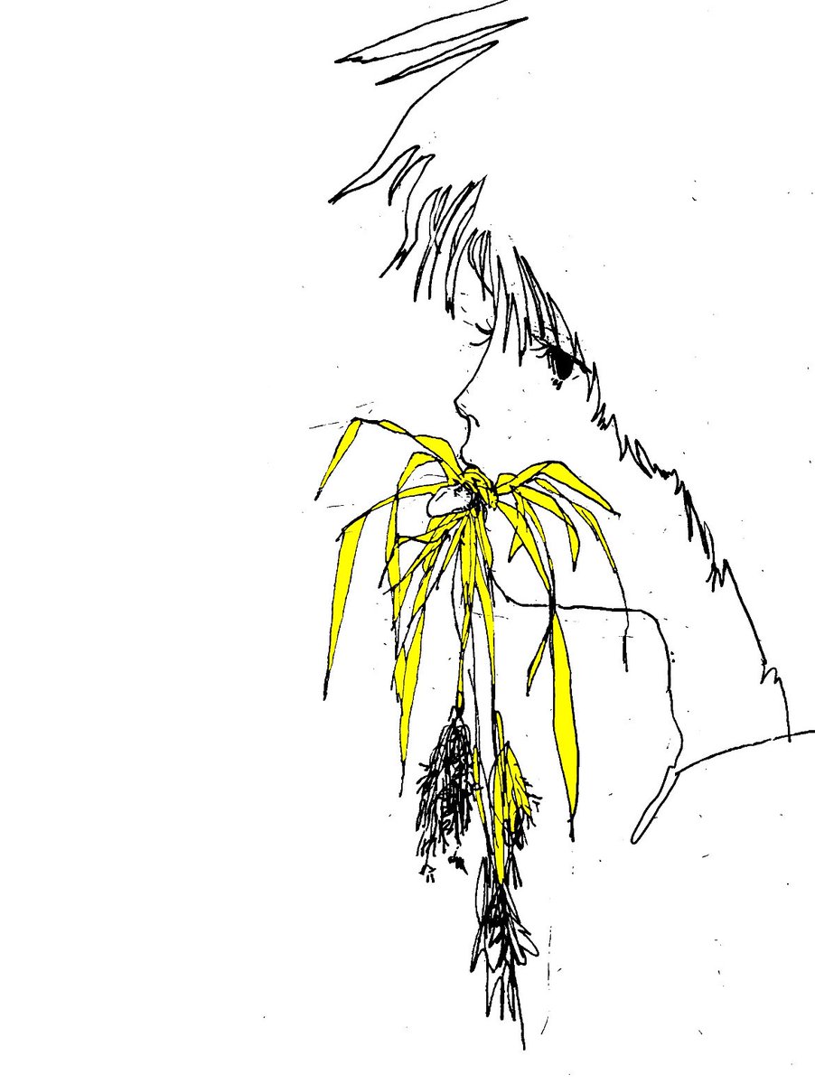 大須賀 基 (@hzime_1) / Posts / X