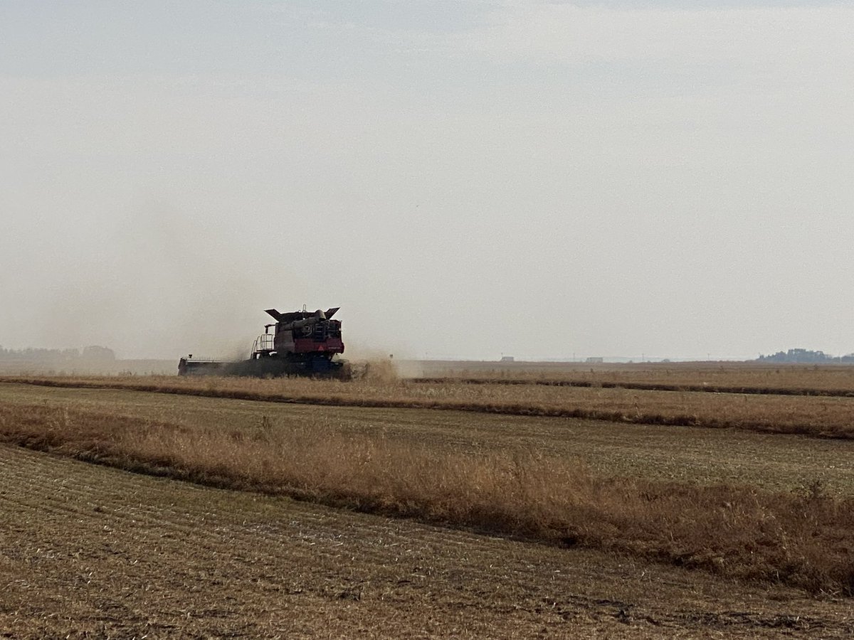 Kris Cherewyk PAg CCA tweet media