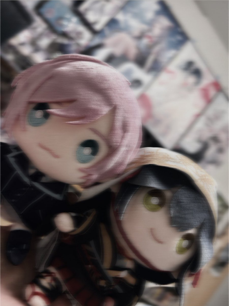 arare_0811's tweet image. みてみて!!!仲間が増えた🌇🎴
ずっと欲しかったんだよ🫶🏻
これからこの2人連れてたくさんおでかけいくね🩵💙
#やまのいるせいかつ #未来人みて #みらるた