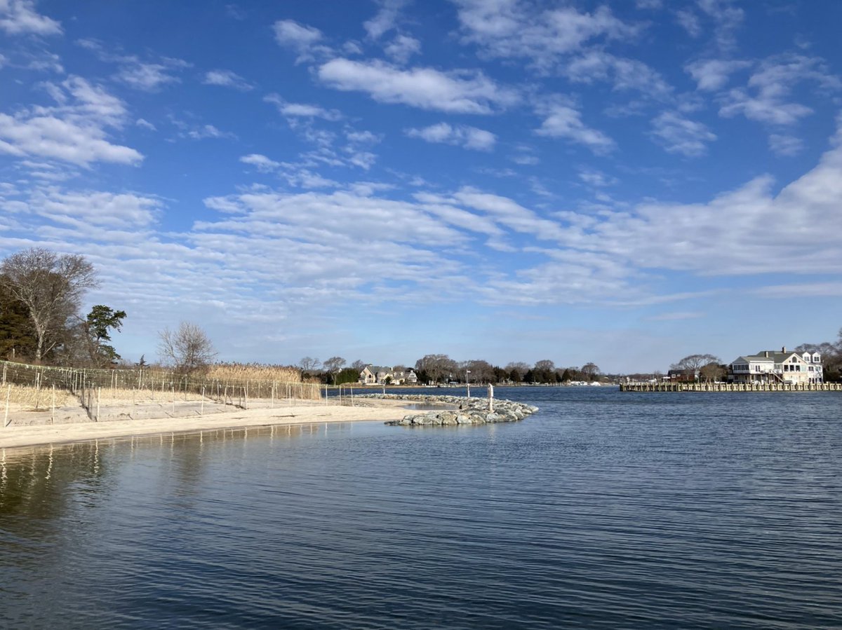 Today we move along the east coast, continuing our celebration of the 2025 Best Restored Shore awards with the Indian Island County Park. Located in Riverhead, New York, the project achieved lasting ecological, cultural, and community outcomes using nature-based solutions. #asbpa