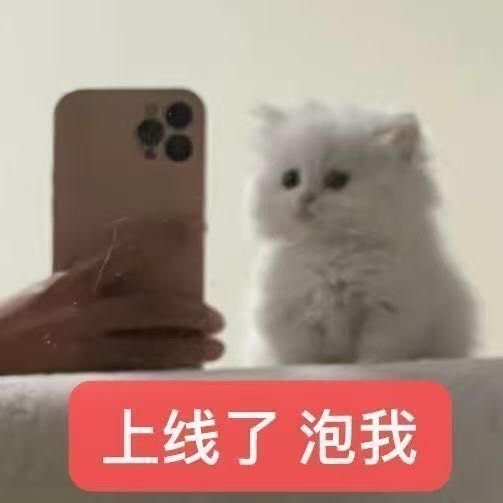 媒体预览