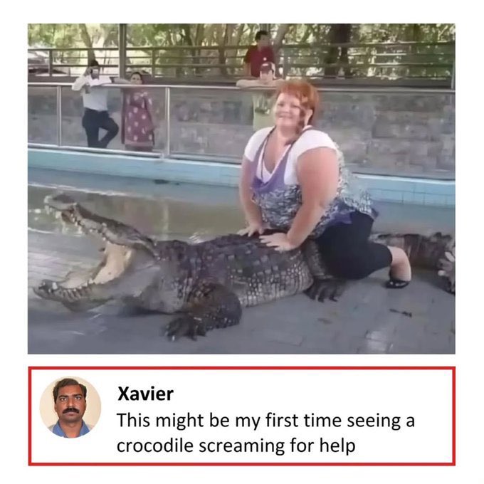 floridamancomic's tweet photo. That’s my cousin https://t.co/ijaq5gDhTZ