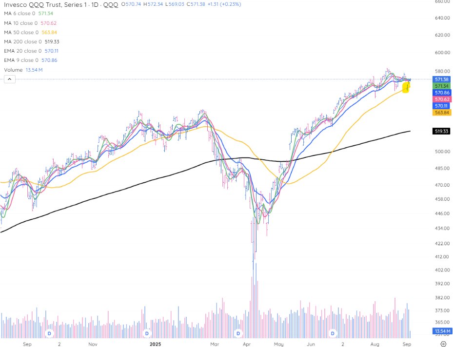 Suubee Portfolios - Invest in Leadership tweet media